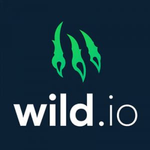Wild.io Casino logo